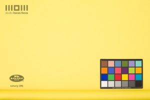 studio fotograficzne do&nbsp;wynajęcia, Opole, kolorowe tła kartonowe